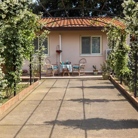 Il Gelsomineto Dell'etna Apartamento *