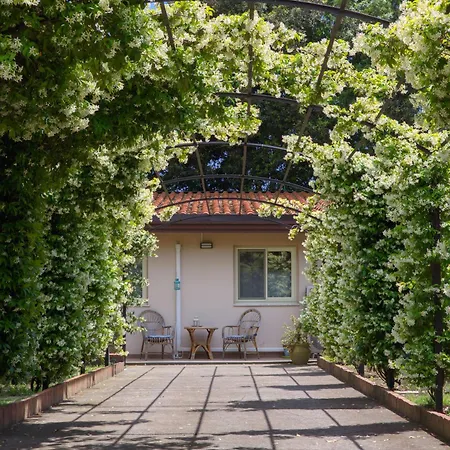 Il Gelsomineto Dell'etna Apartamento *